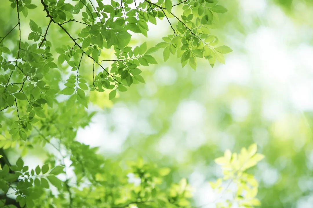 做人呐,最重要的是开心