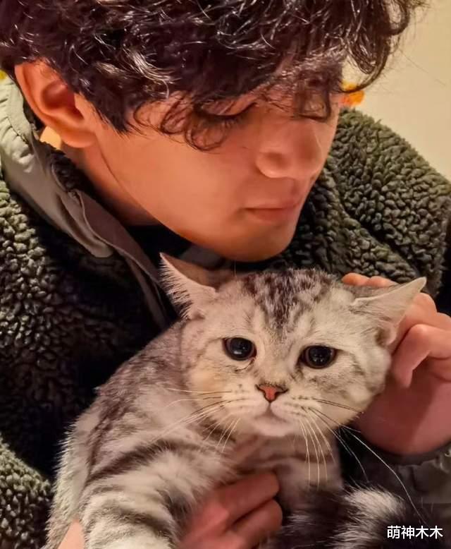 张智霖儿子惹众怒!做“眯眯眼”讽刺广州人,被痛批家庭教育失责