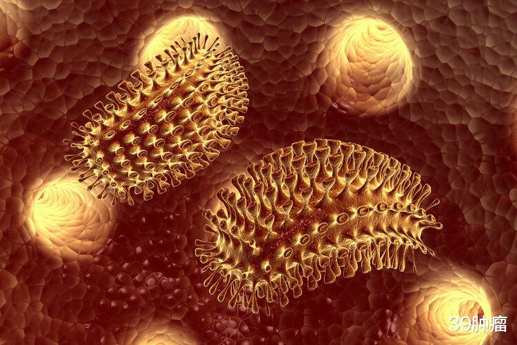 男子狂犬病发作离世，临终前注射了两针疫苗，为何人还是没了？