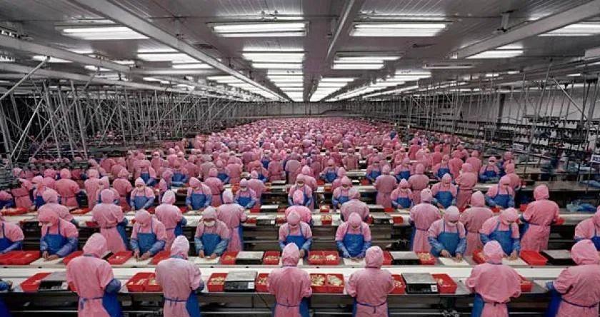 |312家日本企业想招募缅甸技术工人