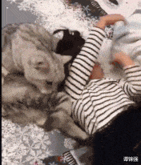 |姑娘!你收敛点,这是相亲,不能暴露你的职业呀!