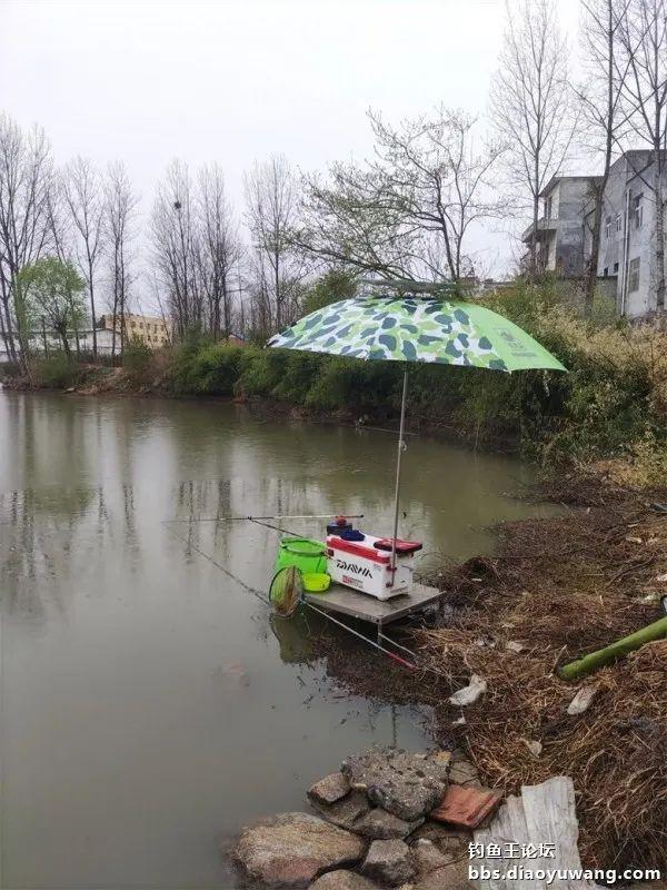 鲤鱼|断崖式降温,巧搭饵料擒斤鲫