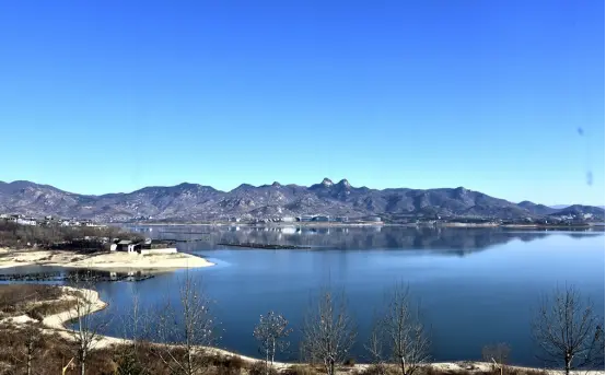 |山东济南雪野湖是由188种鸟,评选出来的生态天堂