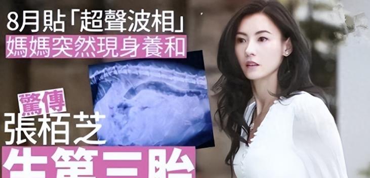 控制李小冉三年，限制殷桃拍戏，孙东海究竟“糟蹋”了多少女明星