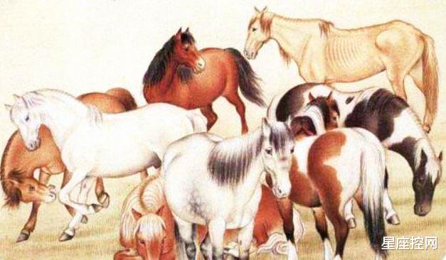 生肖|五月开始,钱包不缩水,事业不落败的四大生肖,好事不断来