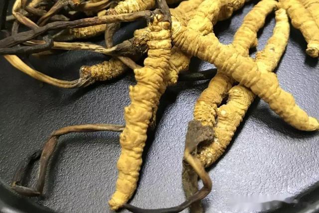 盘点：可以降血脂的中草药