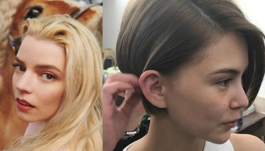 张雨绮的脸,怎么从千颂伊一夜间崩成蔡明了?