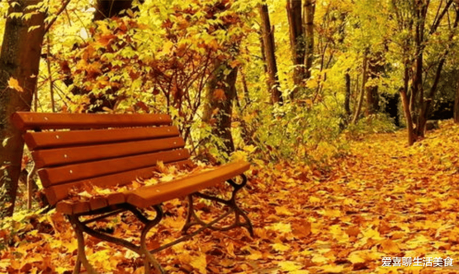 四季豆|秋季遇见此菜别手软，味道鲜美，口感爽脆，营养极高，5种做法巨好吃！