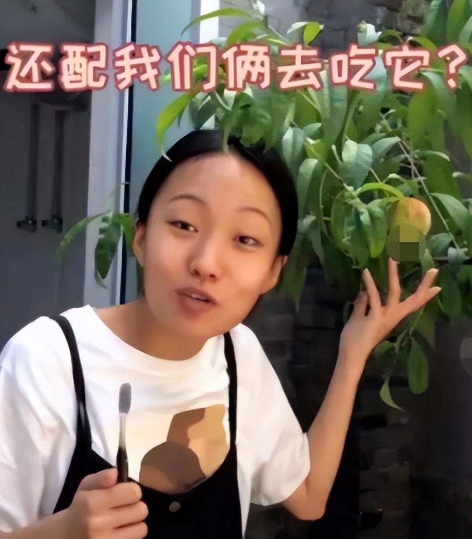 解散风波后续!邵雨轩卧床吸氧,张小花吸粉无数,胜负一目了然