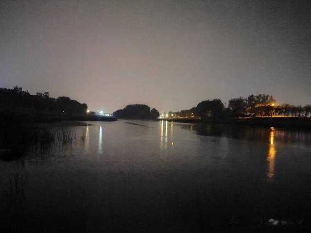 夜钓|钓鱼日记——2023年4月24日(碧水庄园夜钓)