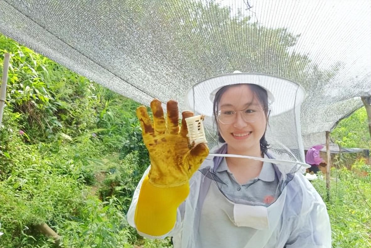 刘德华的担心是对的，海清事件内幕被揭开，难怪网友评论会一边倒