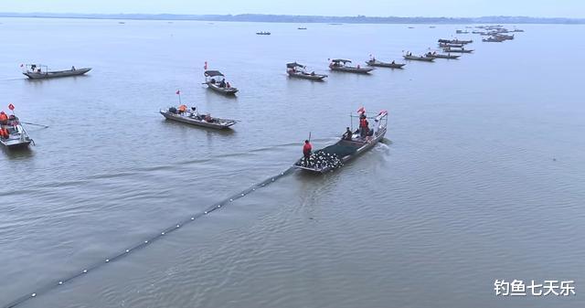 “云梦泽”绝户网捕捞调查无果，有人开始洗地，把矛头指向钓鱼者