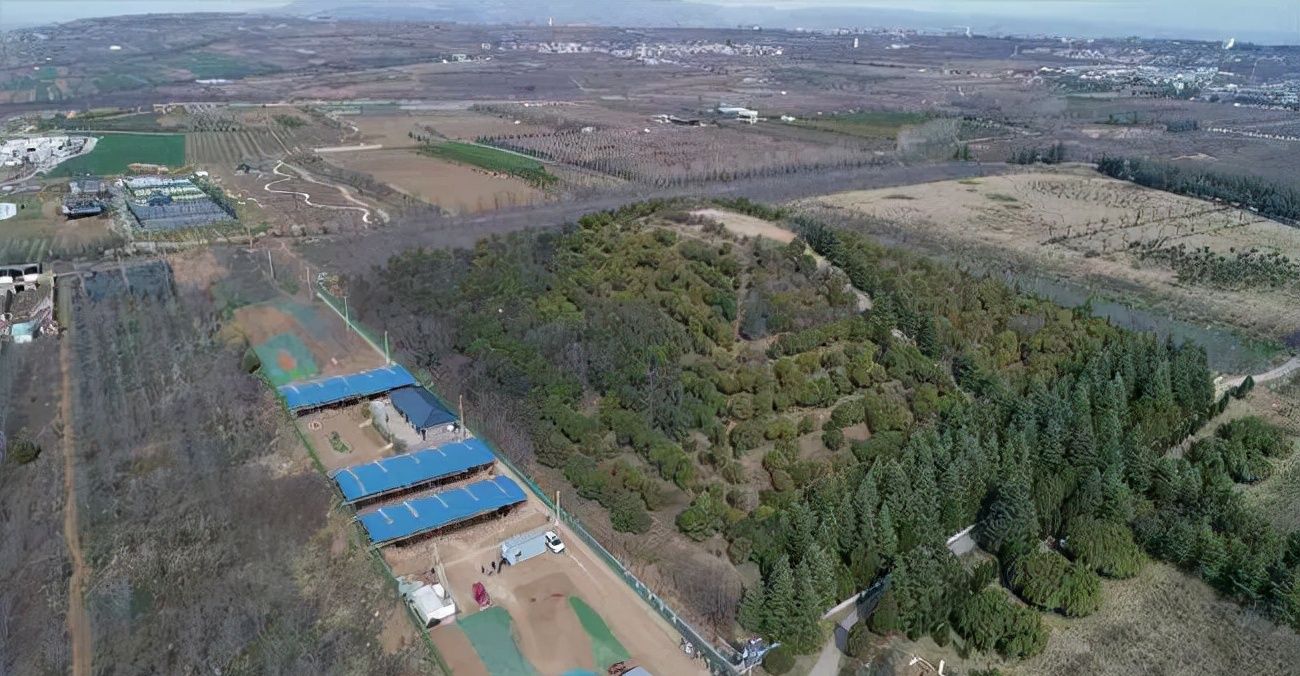 博物馆|霸陵出土的古钱币,你了解吗?