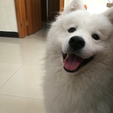 晓大叔聊穿搭