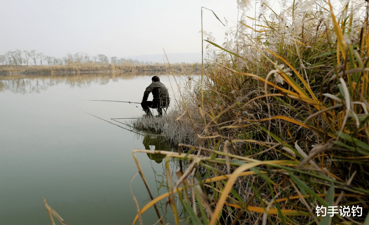 饵料|冬季野钓需“人找鱼”,做到“5钓5不钓”,天冷钓鱼不跑冤枉路