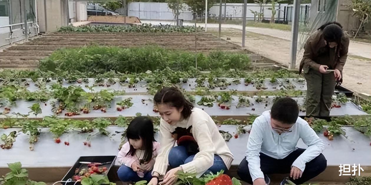 甘比|女首富甘比晒儿子新年红包，总计才上万元，内地网友觉得太寒碜