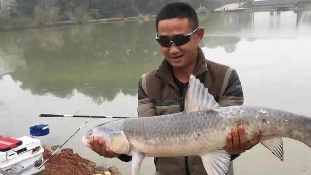 师父|钓王蔡建高调收徒，并隔空艾特师父徐银舟：我想你了！邓刚遭无视