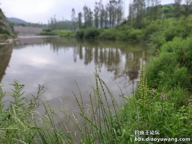 今晚吃鱼效果好，同学同钓兴致高