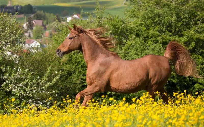 让领导瞬间高看你的10个细节