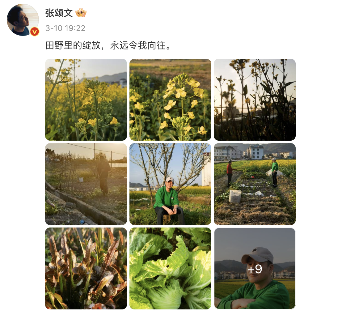 李沁|事实证明,李沁的“村姑脸”,说透了女演员“万年捧不红”的真相