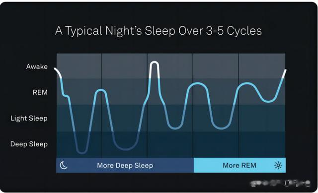我们真的只要睡足八小时就可以精力充沛了吗？
