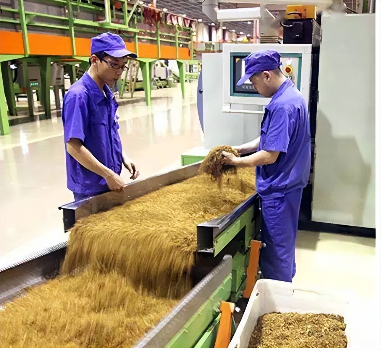 你连考的资格都没有,张雪峰神预言,上海烟草录取名单打了谁的脸
