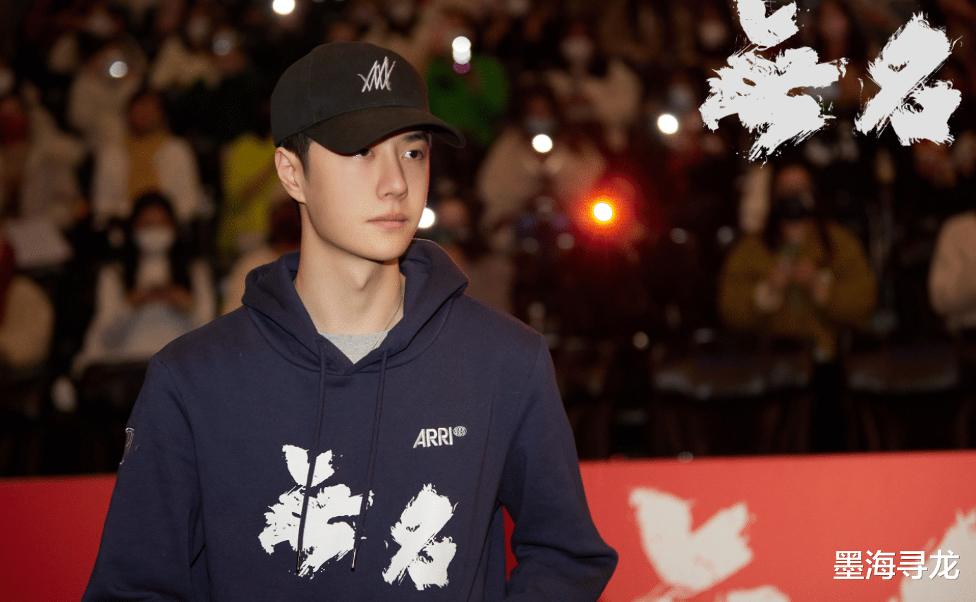 王一博|王一博被嘲讽是“文盲”，官媒直接点名批评，成为典型的反面案例