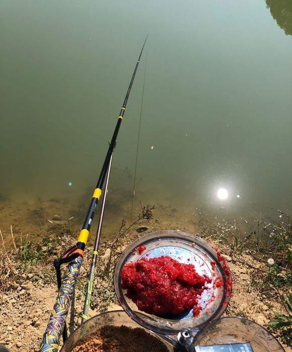 黄骨鱼|春季野钓入水口详解,钓法用好爆护不难