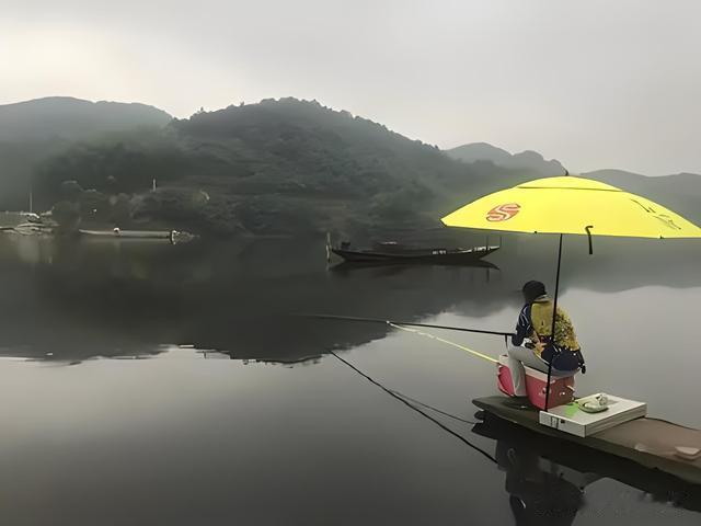为什么越来越多的钓友,不玩黑坑改玩野钓?
