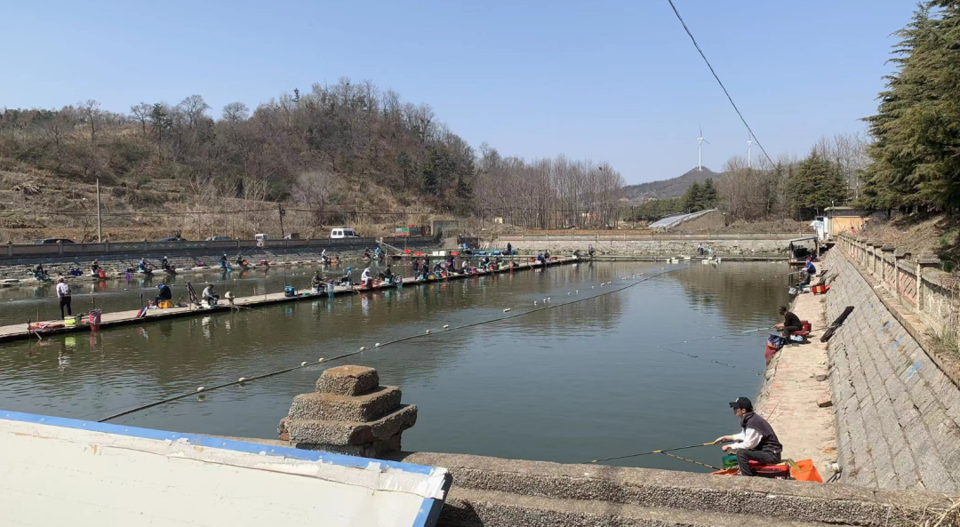 |凌天二代黑坑竿实钓检测,表现如何?能拿坑冠么?