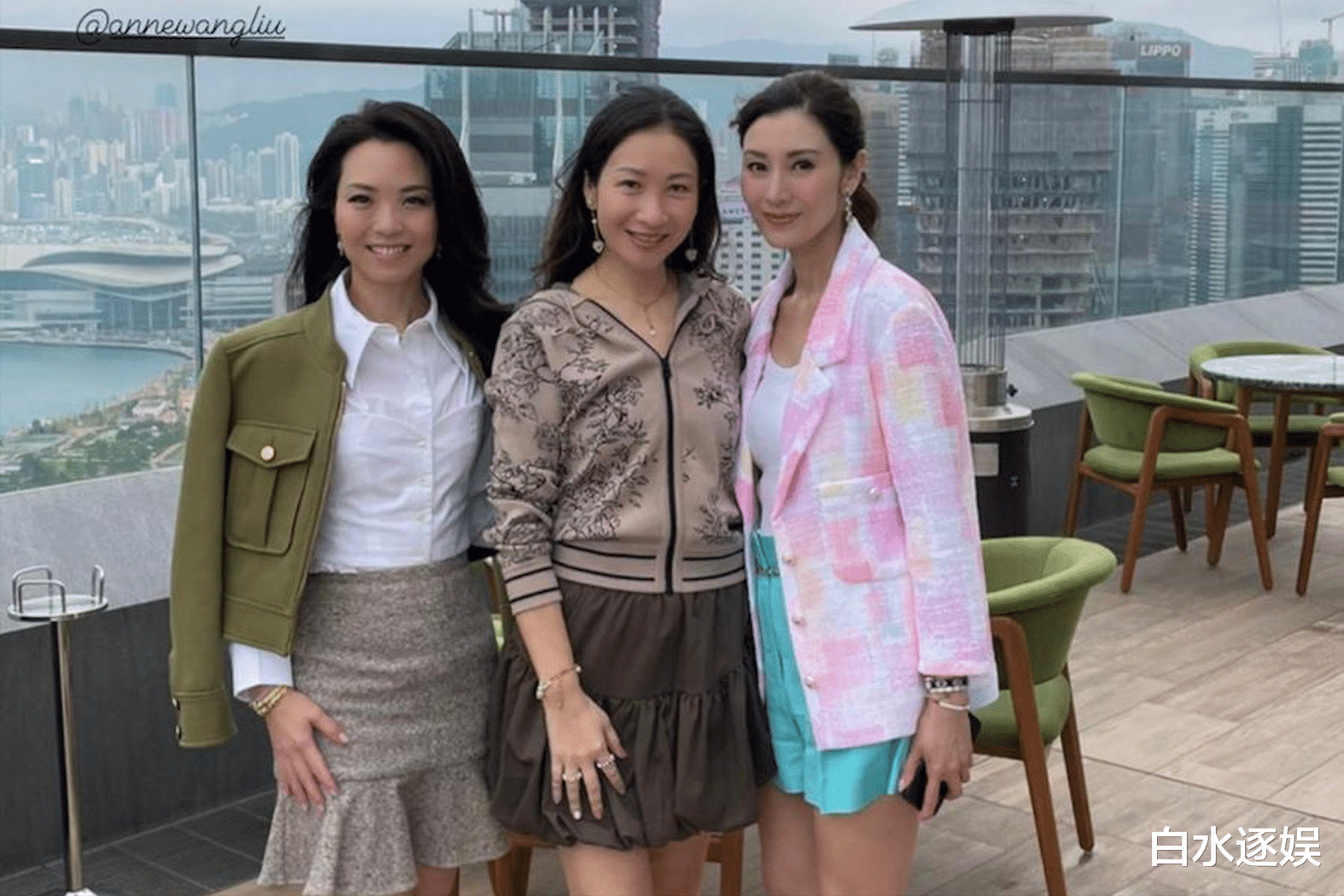 黎姿疑似医美过度变了样，李嘉欣贵妇合照靠边站