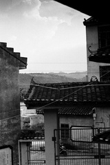 汽车女骑士