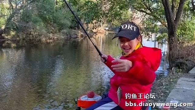 饵料|钓鱼王新款饵料“红虫”搭配今晚吃鱼，爽钓小鲫鱼