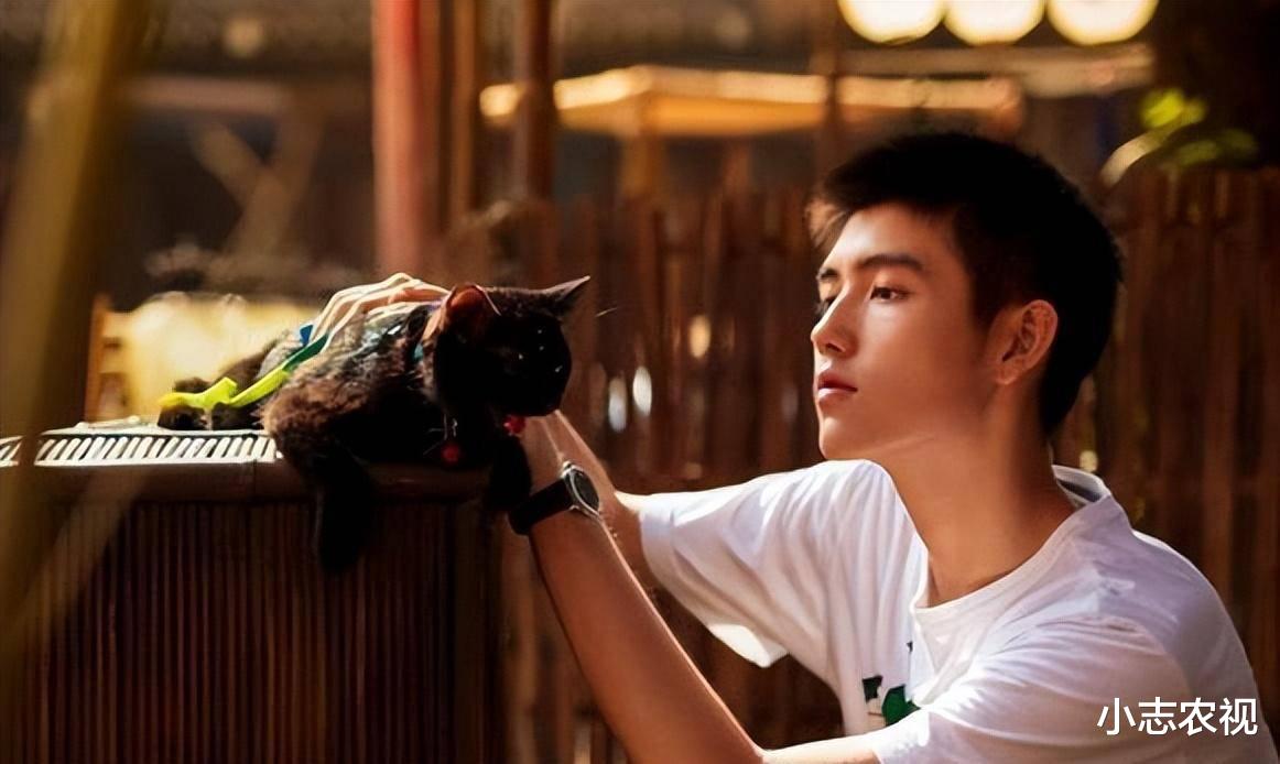 陈飞宇|陈飞宇和陈雨昂:截然不同的人生,哥哥低调内敛,弟弟陷入绯闻