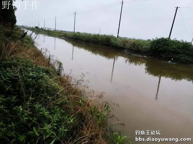 效果给力,今晚吃鱼