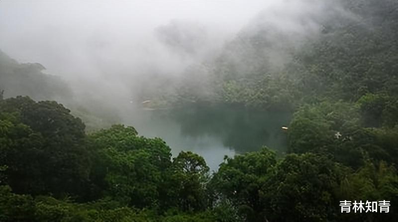 徒步|旅游记忆：沉醉在鼎湖山的旖旎中