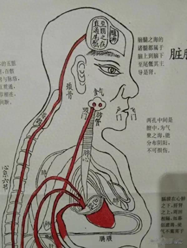 中医里有很多未解之谜，10年琢磨不透，这几张图能看懂的都是高人