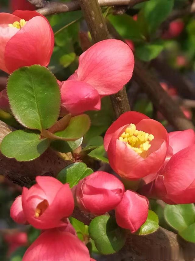 |也谈降低兴奋点和提高幸福感---老韩头条三言两语杂谈四十三