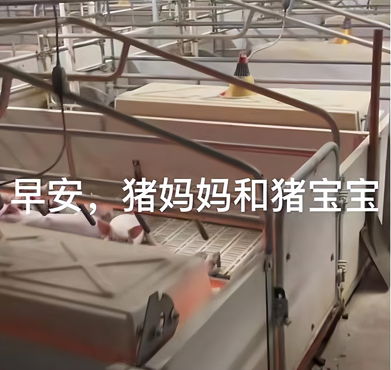 大学生|“少走三十年弯路”,大学生应聘保安成潮流,不以为耻反以为荣