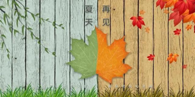 今日处暑：梧叶欲坠莲卸妆，暑云散尽迎秋凉