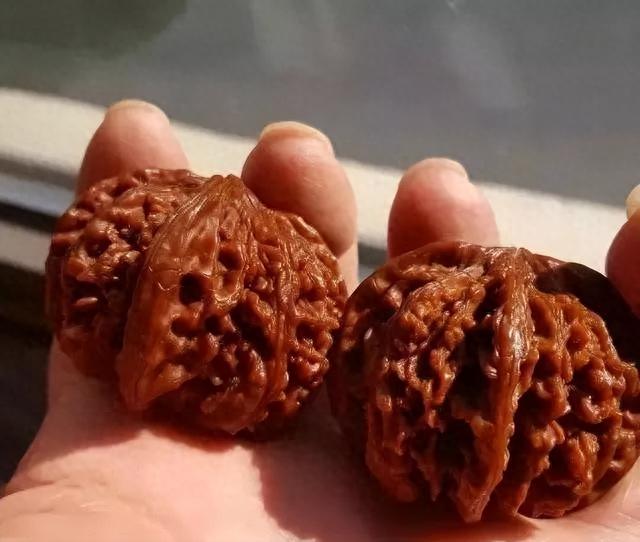 手串不盘黄花梨,核桃不挑四棱盘,为啥？