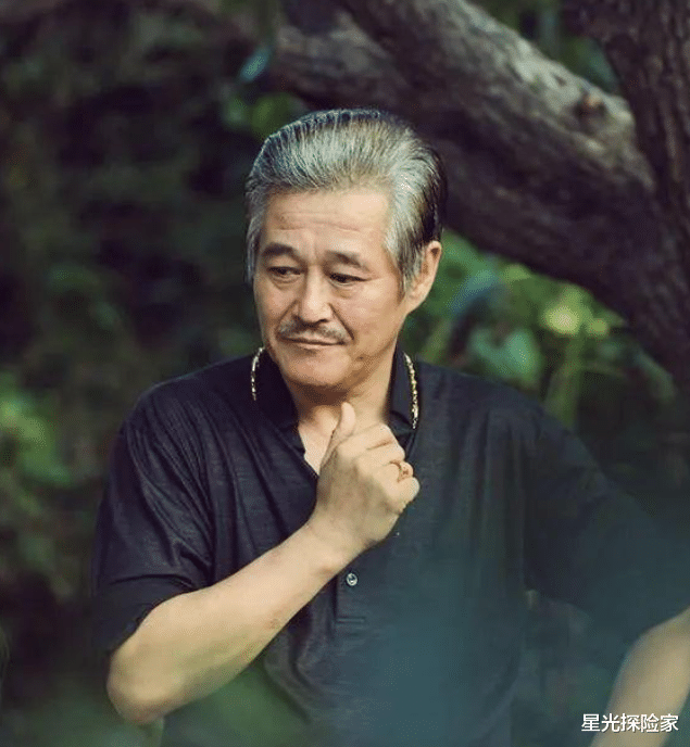 赵本山家中后院内景,墙头拉钢网防盗,超大原石惹眼,处处显富贵