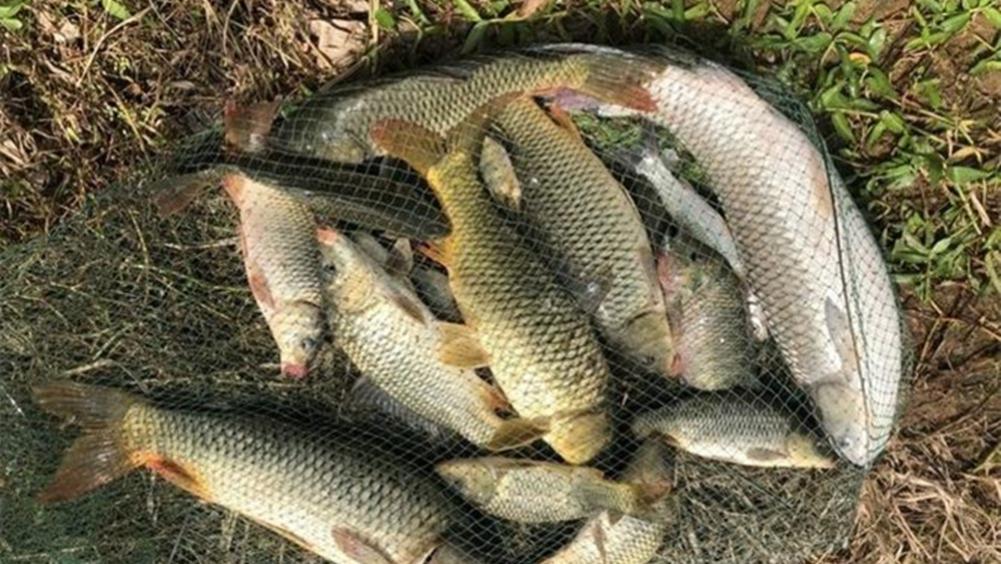 自然水域野钓，升温鱼好钓，还是降温鱼好钓？