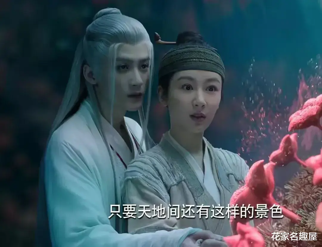 《长相思》小夭受伤,四个男人的反应,暗示了他们的结局