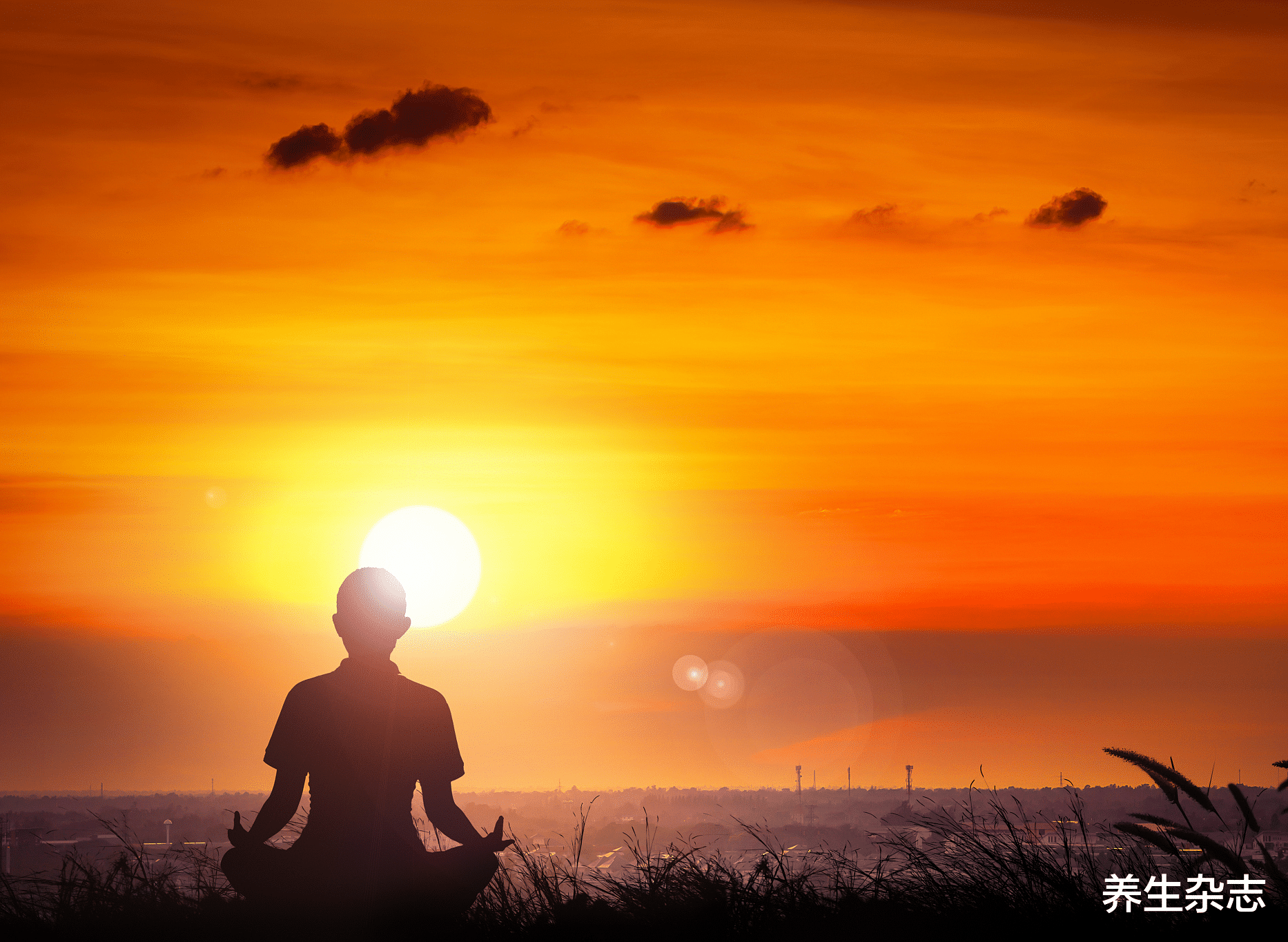 一个真正的秘方，大补阳气，特别适合阳虚、虚寒的人冬天用