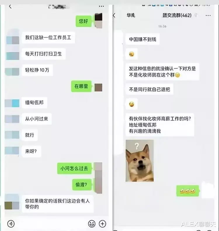 招聘|直击缅北训狗场，上万女性被困其中，把她们驯化成狗