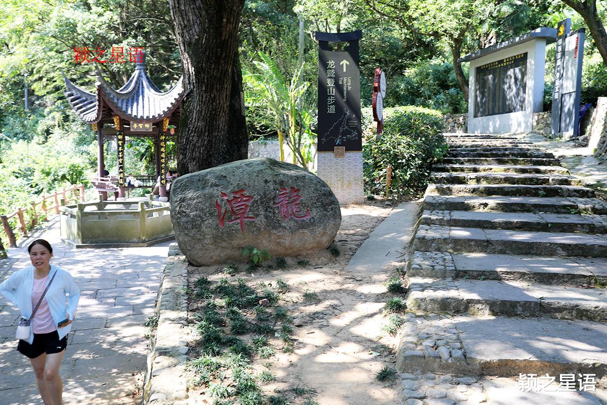 宁波|龙鹫登山步道,适合为了健身而走路