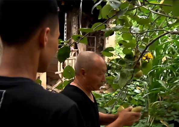 34岁河北男子总梦到一棵梨树,多年后找到梦中地方,揭开真实身份