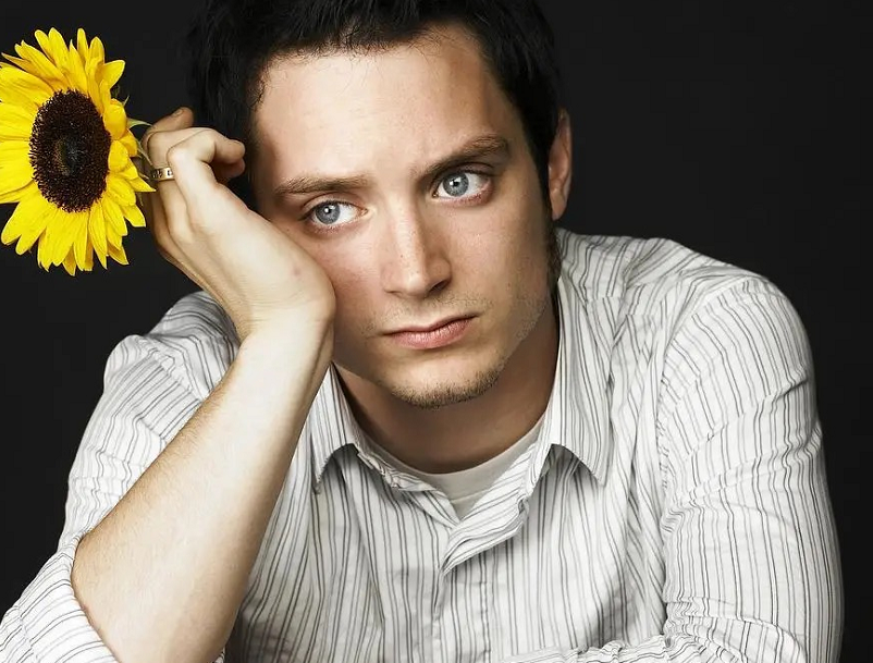 伊利亚·伍德|童星出道的欧美演员，从演员到导演，他的成长有目共睹