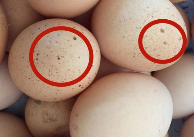 鸡蛋|再次曝光：多批鸡蛋检出兽药，长期食用可能对身体有害